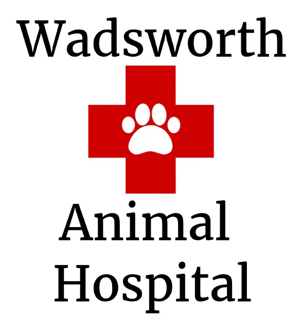 Wadsworth Animal Hospital