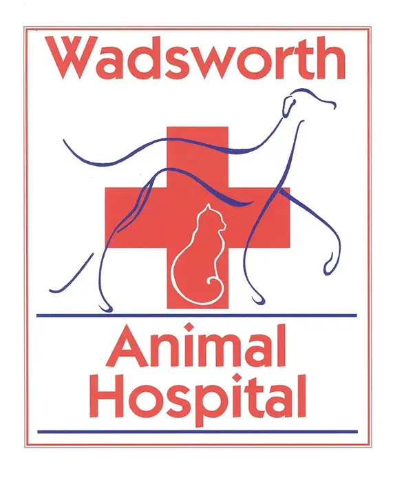 Wadsworth Animal Hospital