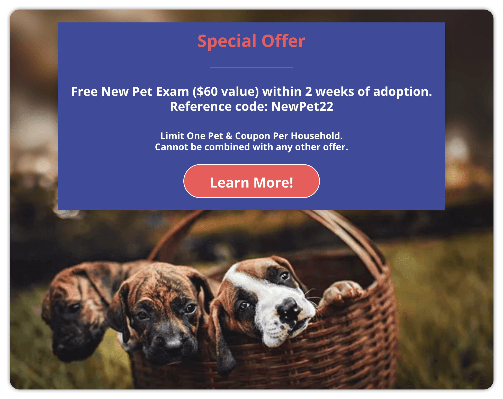 Special Offer! $1 New Client Exam!