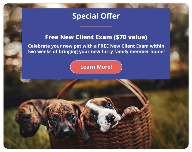 Free New Client Exam ($70 value)