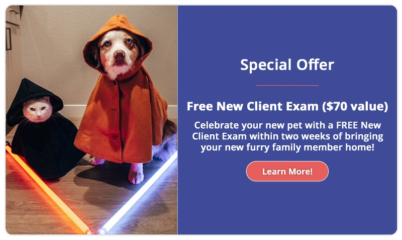 Free New Client Exam ($70 value)