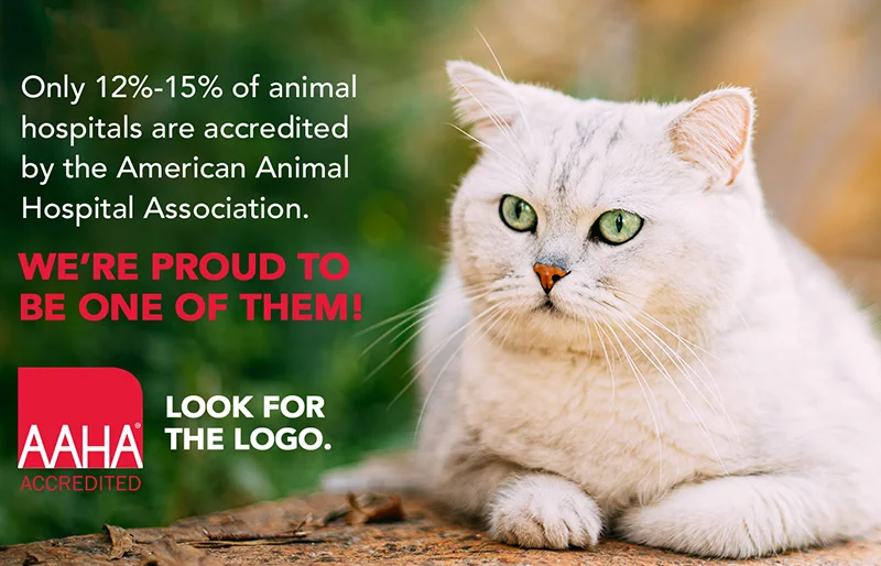 Only 12%-15% of animal hospitals are accredited by the American Animal Hospital Association. We're proud to be one of them!